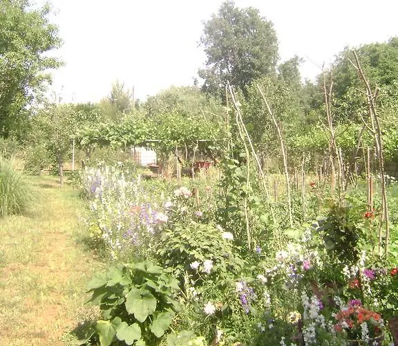 As 게스트하우스 3*