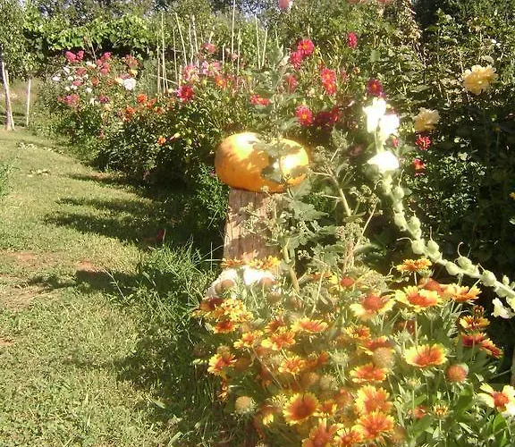 As 게스트하우스