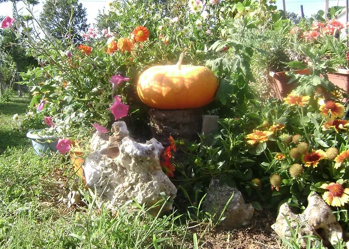 게스트하우스 As 반졸레