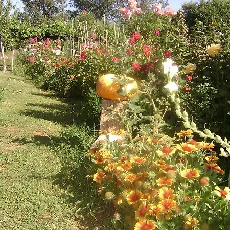 As Guest house